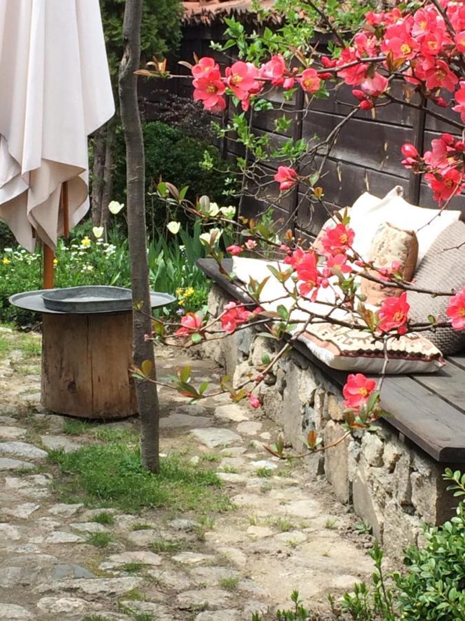 Darina Guest House Koprivshtitsa Bagian luar foto